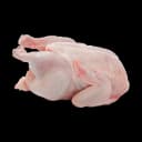 Chicken Meat view 1