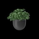 Plant Pot view 1
