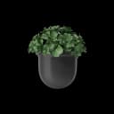 Plant Pot view 2